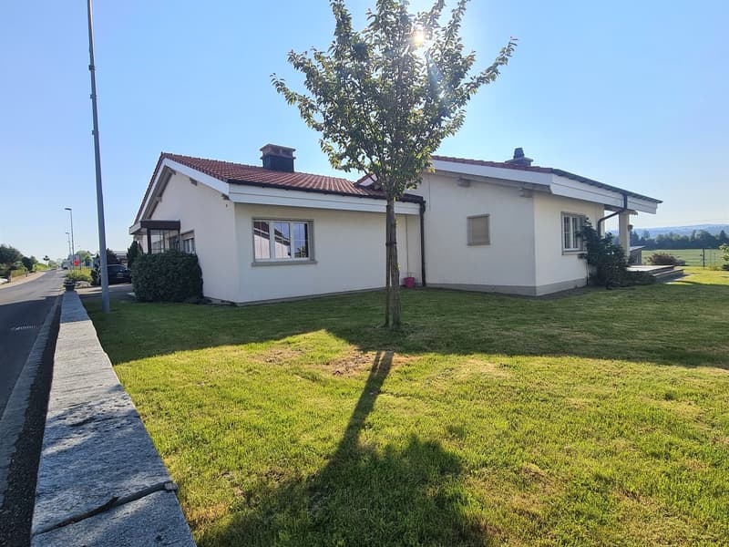 Single-story house with white exterior walls, red tile roof, large windows, and a tree in the front yard. The house has a grassy lawn and a paved walkway leading to the entrance.