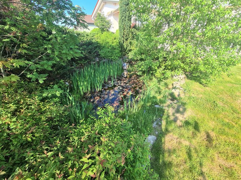 Lush, well-maintained garden with a small pond or stream, surrounded by various plants, trees, and greenery. The garden appears to be part of a residential property, with a building visible in the background.