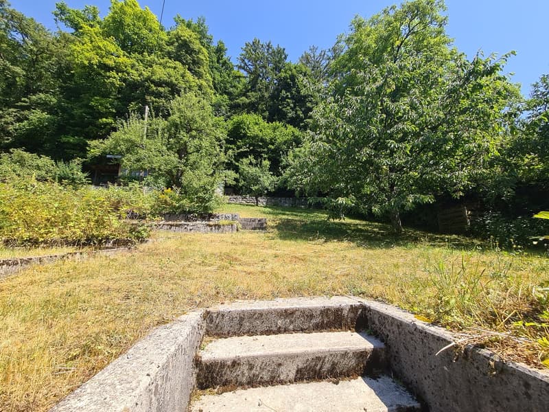 Lush, green garden with trees, grass, and stone steps leading to a raised area or terrace.