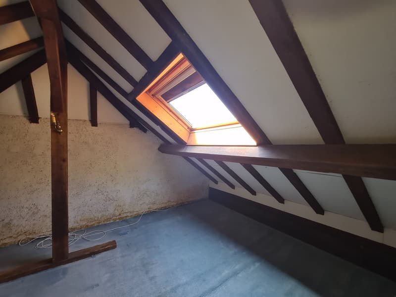 Attic space with exposed wooden beams, skylight, and concrete floor
