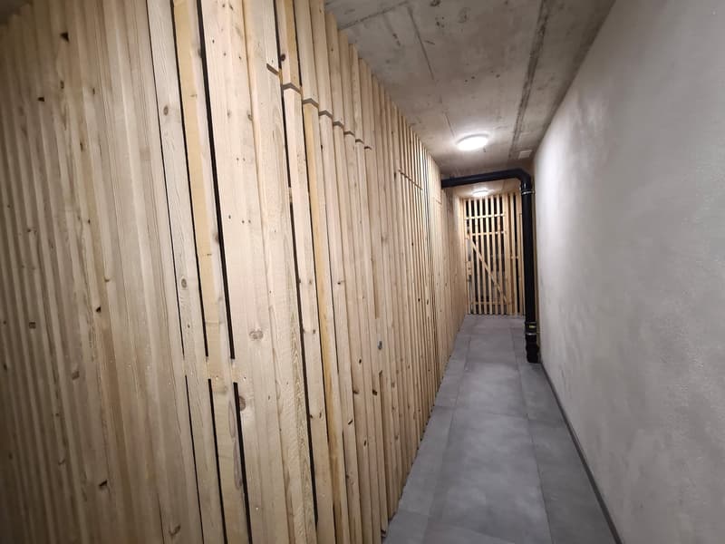 Splendido appartamento di 5,5 locali in una PPE di alta gamma nell'ultimo piano dell'edificio (26)