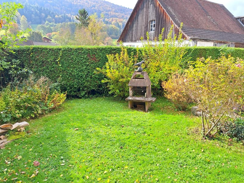 well-kept lawn, wooden bench, small tree in middle, hedge in background