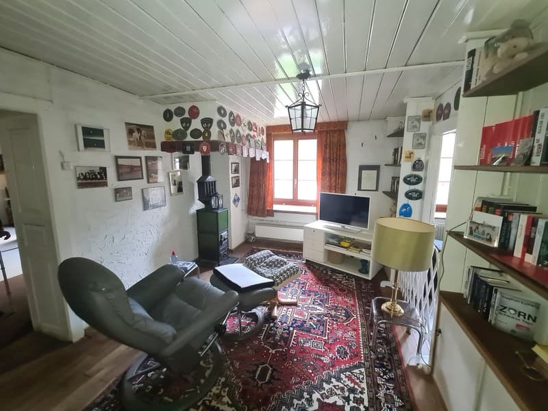 large carpet, leather reclining chairs, entertainment center with tv, lamp, shelves with books, pictures on the wall, radiator, window with curtains