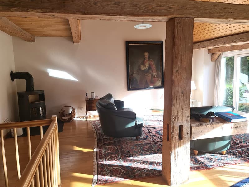 Fireplace, armchairs, carpet, wooden beams, window, wood stove