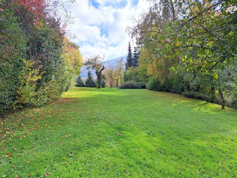 large lawn with scattered autumn leaves, shrubs, and trees surrounding, mountains in the distance