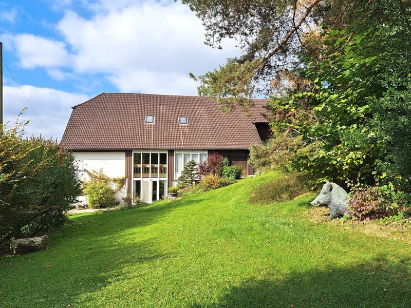 House elevated on a hill, brown roof, white walls, large windows, lush green garden, tree and plants, statue