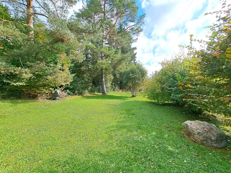 vast green grassy lawn, several tall trees, large stone on right