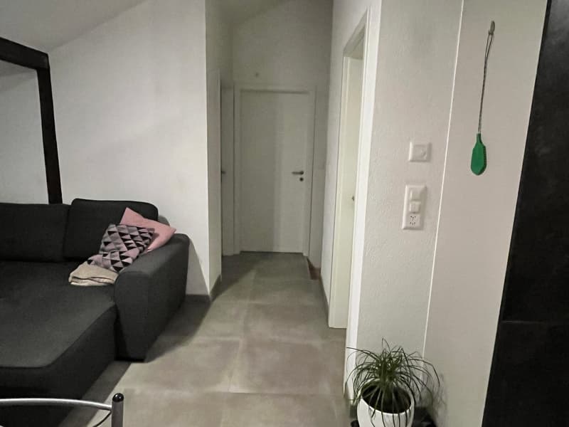 room with couch, 2 pillows, plant in a white pot, white walls and tile floor