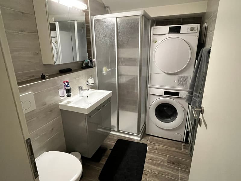 bathroom with shower, toilet, sink, mirror, and washing machines