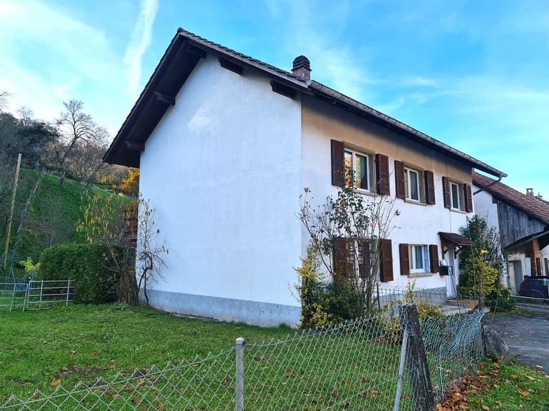 A white-washed house, raised ground floor, brown wooden trim, small driveway, front garden with plants, and surrounding trees