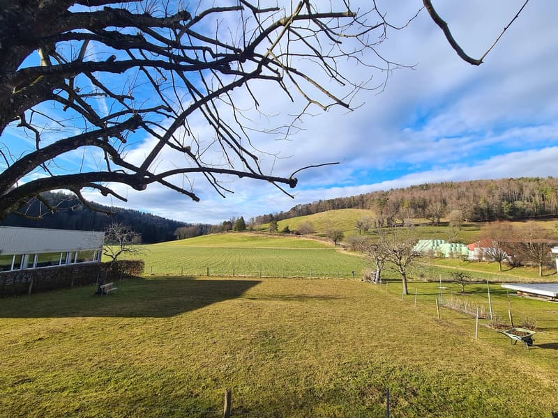 RIDUZIONE DEL PREZZO DI VENDITA ECCEZIONALE - Proprietà di lusso e grandiosa con 10,5 locali (33)