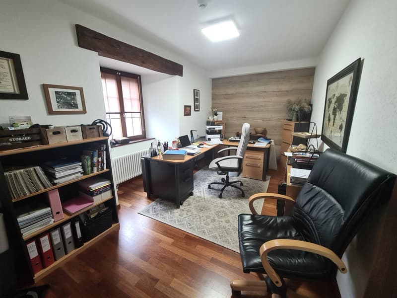 RIDUZIONE DEL PREZZO DI VENDITA ECCEZIONALE - Proprietà di lusso e grandiosa con 10,5 locali (50)