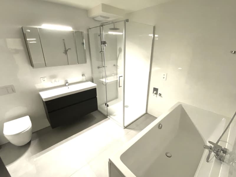 Modern white bathroom, large shower, sink, toilet, bathtub
