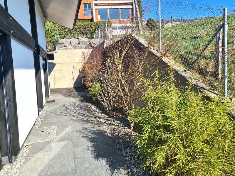 Pathway leading to the house entrance, surrounded by plants and shrubs, concrete wall, wooden beams, another house visible in the background.