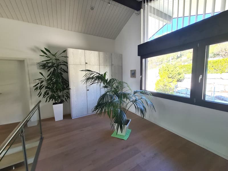 minimalistic interior with two plants, white cabinets, wooden floor, glass railing, windows