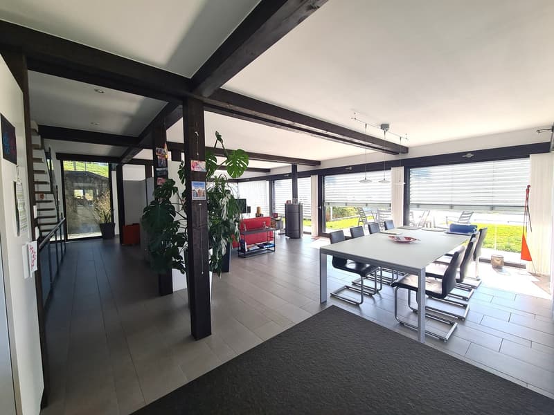 dining room with large windows, dining table, wooden beams, carpet, plants