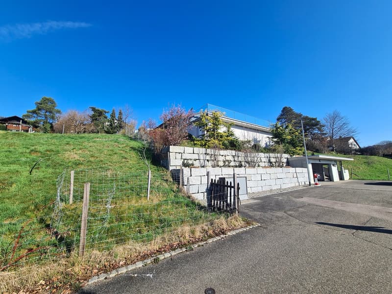 Concrete wall with entrance door, driveway, house on hill, greenery