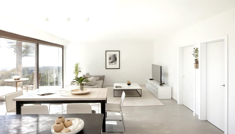 open living space, large windows, gray couch, white floors, dining table, kitchen counter, plants