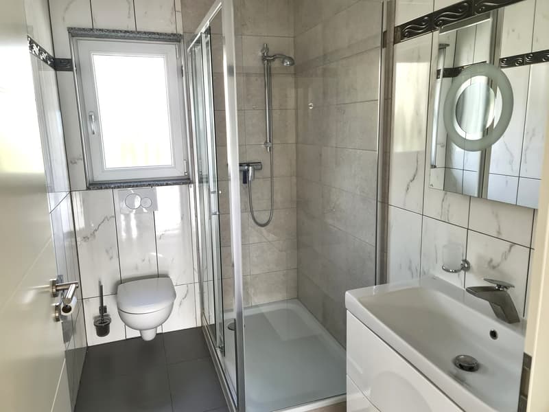 Very nice and spacious attic apartment with 4.5 rooms in PPE with individual garage (22)