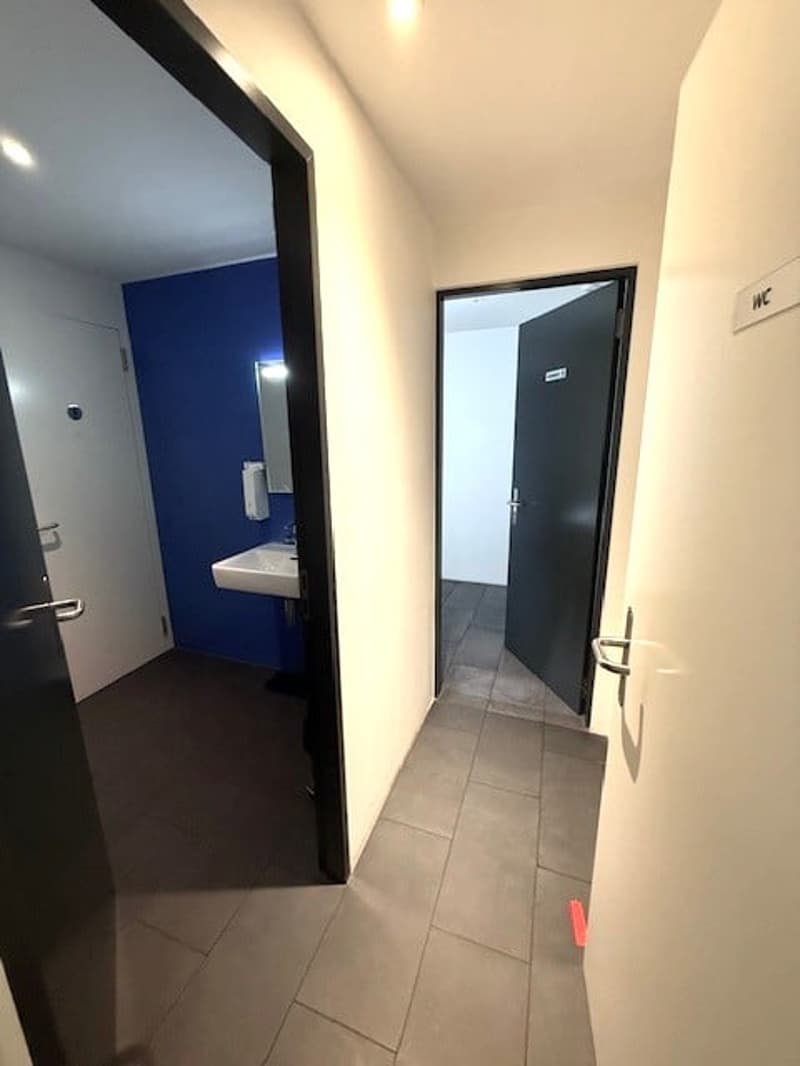 A louer dans grand complexe industriel, artisanal et admin. 3 surfaces de 407 m², 250 m² et 165 m² (16)