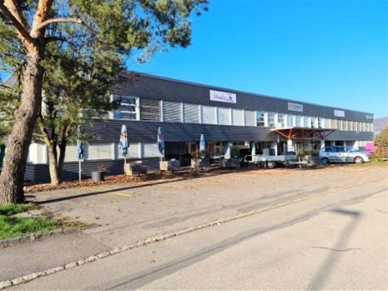A louer dans grand complexe industriel, artisanal et admin. 3 surfaces de 407 m², 250 m² et 165 m² (1)