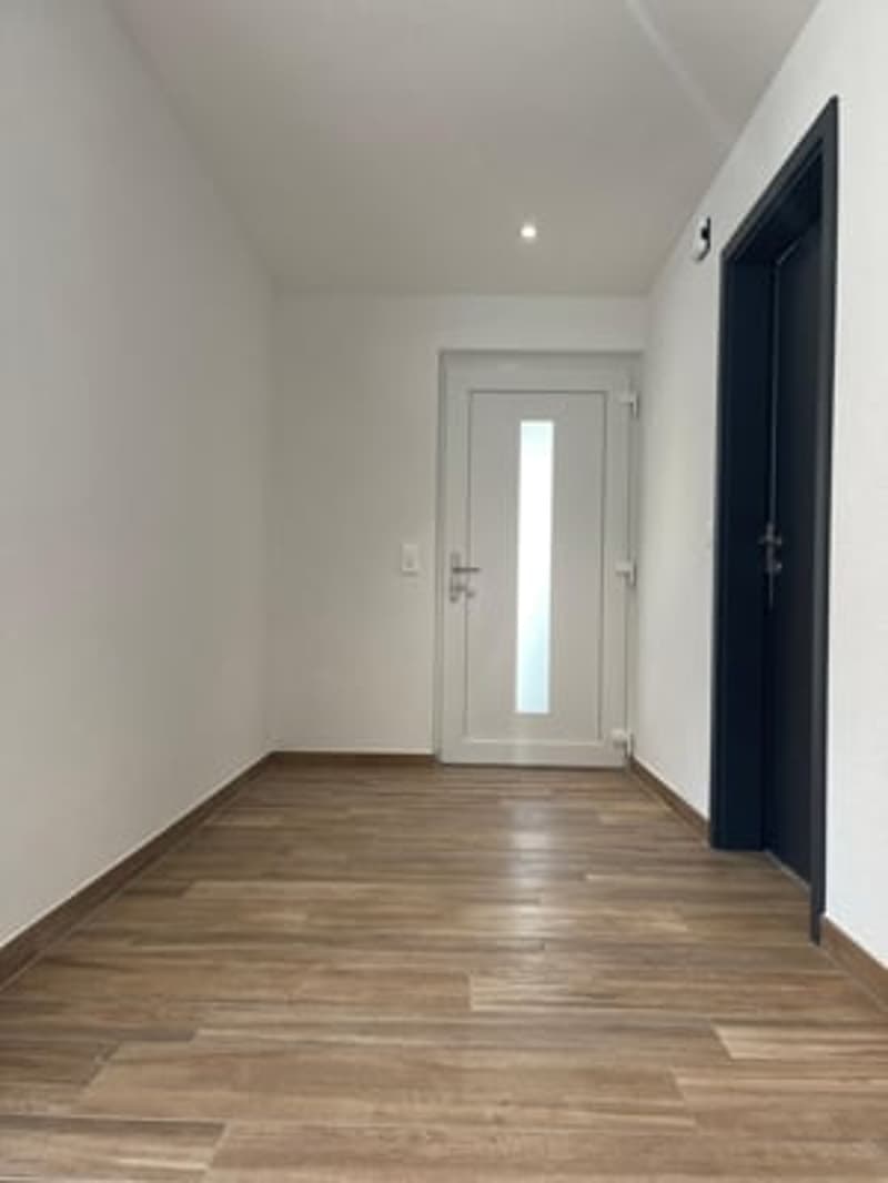 Splendid 6.5-room villa (4)