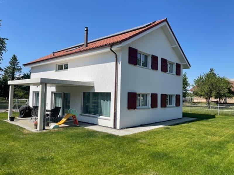Splendid 6.5-room villa (2)