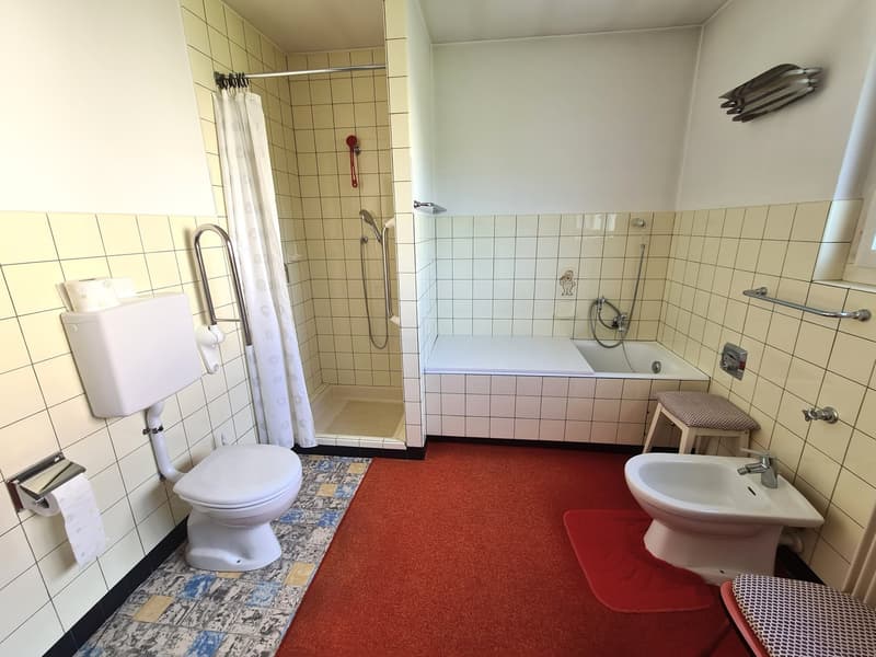Very spacious and charming villa ideally located on a large and beautiful plot (21)