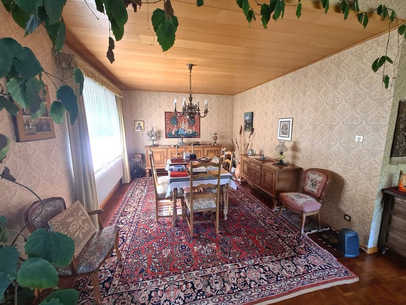 Very spacious and charming villa ideally located on a large and beautiful plot (17)
