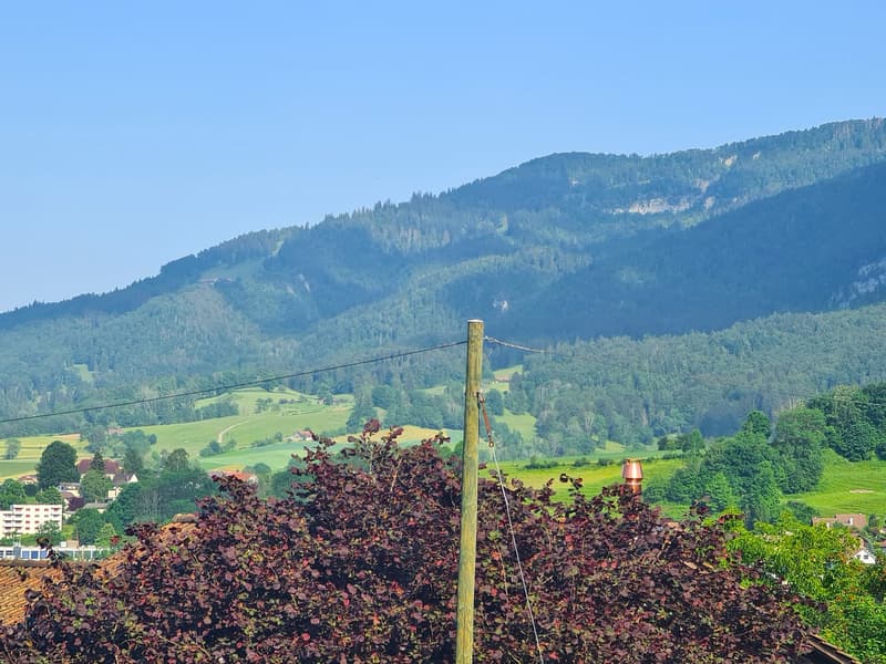 Very spacious and charming villa ideally located on a large and beautiful plot (10)