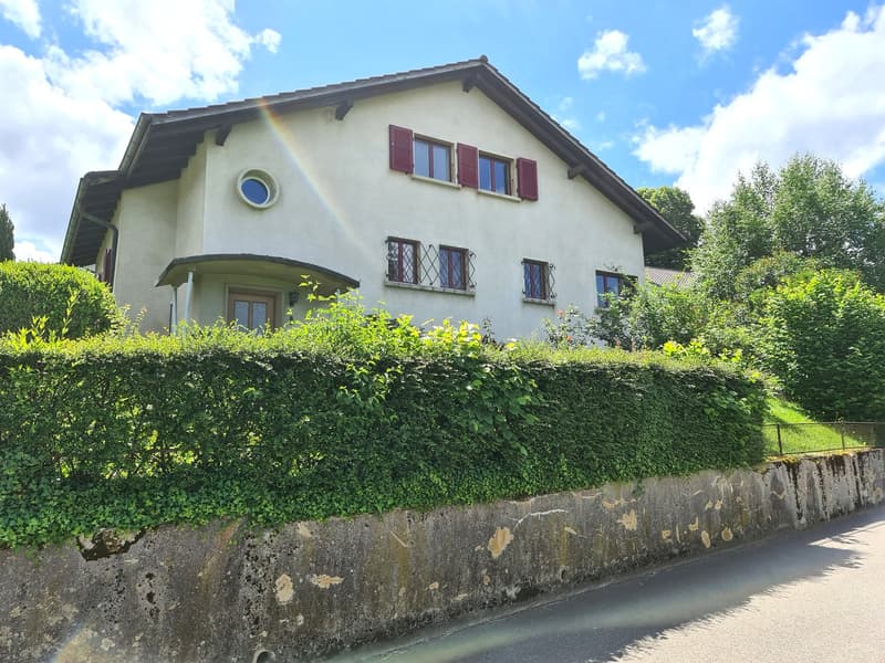 BASSECOURT - Charming 6.5-room villa to renovate, ideally located on a beautiful plot (7)