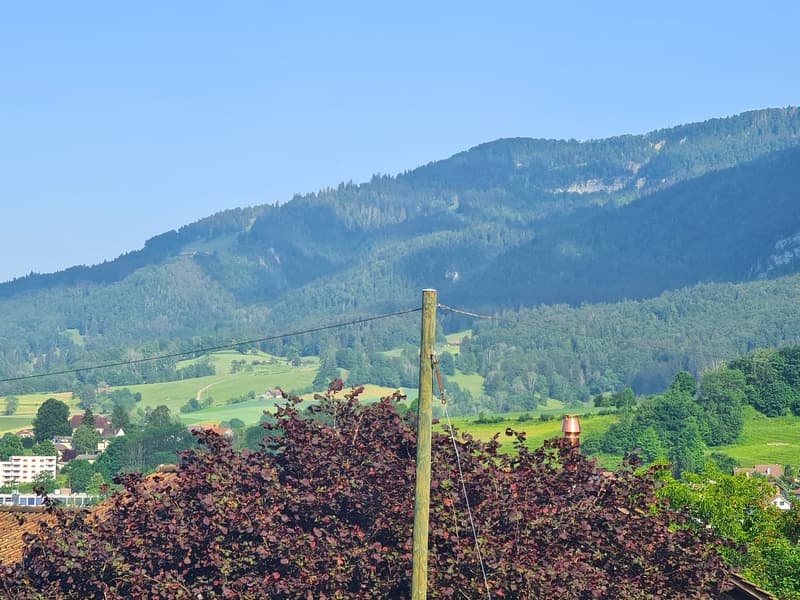 BASSECOURT - Charming 6.5-room villa to renovate, ideally located on a beautiful plot (14)