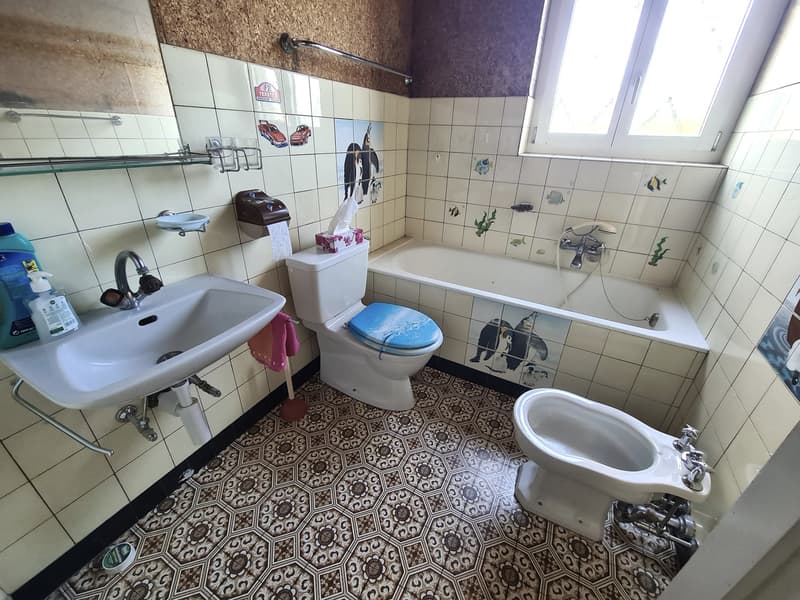 BASSECOURT - Charming 6.5-room villa to renovate, ideally located on a beautiful plot (26)