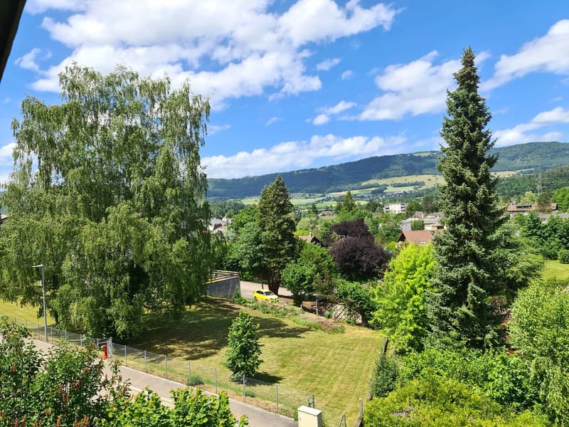 BASSECOURT - Charming 6.5-room villa to renovate, ideally located on a beautiful plot (13)