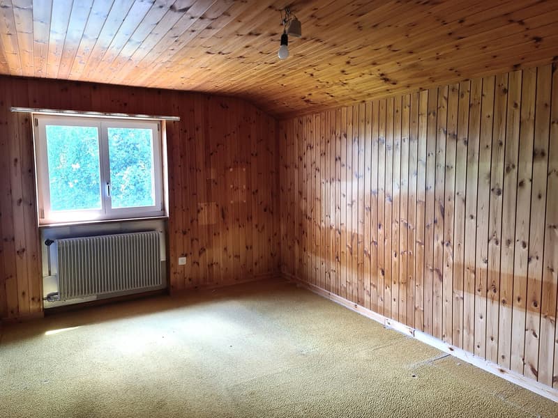 BASSECOURT - Charming 6.5-room villa to renovate, ideally located on a beautiful plot (24)