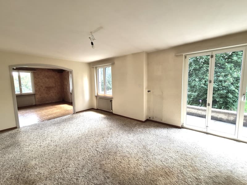 BASSECOURT - Charming 6.5-room villa to renovate, ideally located on a beautiful plot (19)