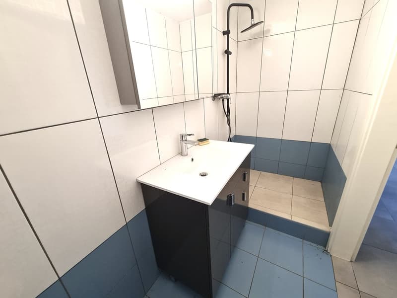 Very nice and spacious villa, ideally located, with 3 apartments (27)