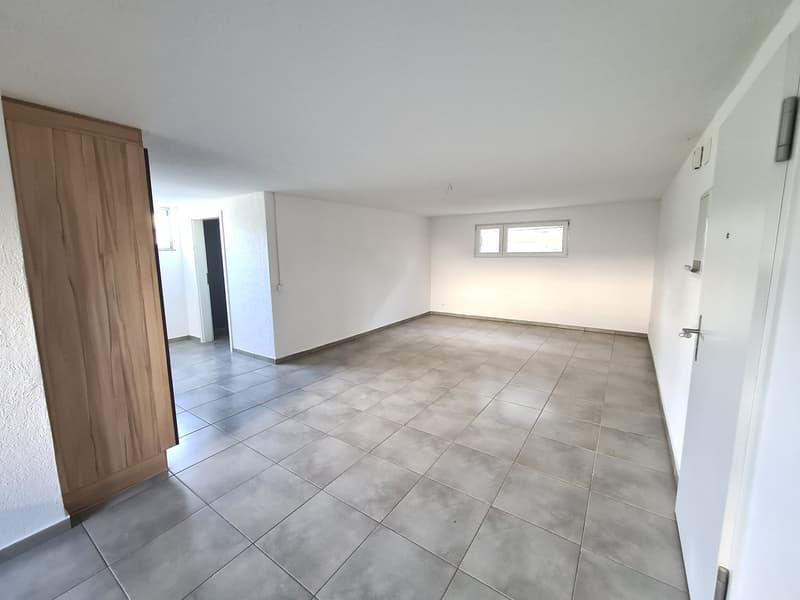 Very nice and spacious villa, ideally located, with 3 apartments (25)