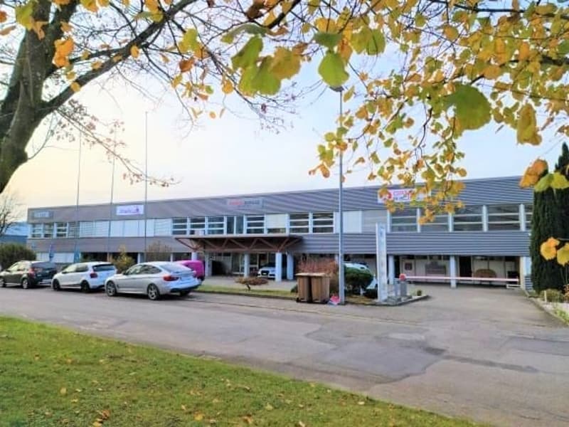 RENDEMENT NET EXCEPTIONNEL - Complexe industriel de 4'554 m² rénové et loué à 33 entreprises (4)