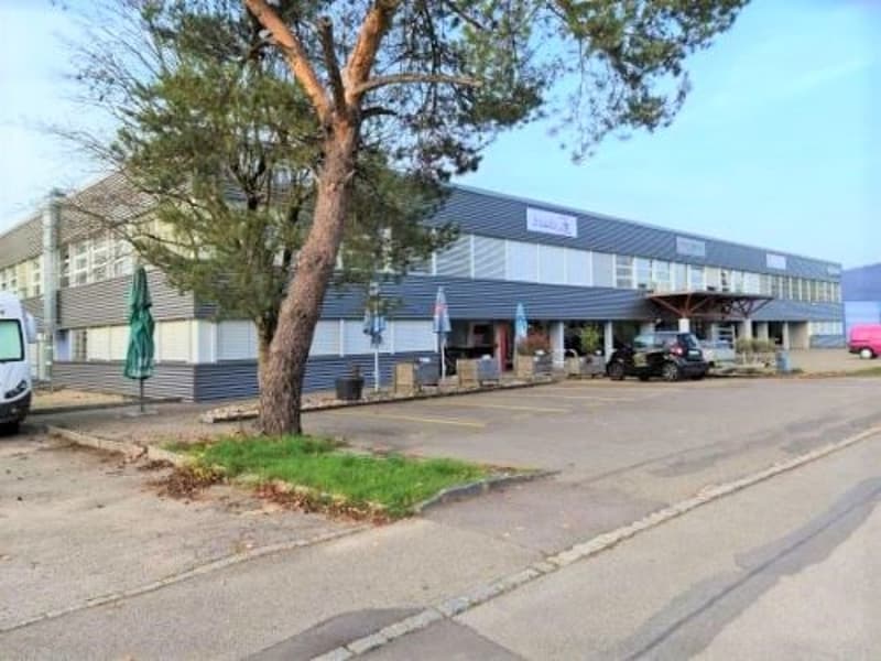 RENDEMENT NET EXCEPTIONNEL - Complexe industriel de 4'554 m² rénové et loué à 33 entreprises (6)