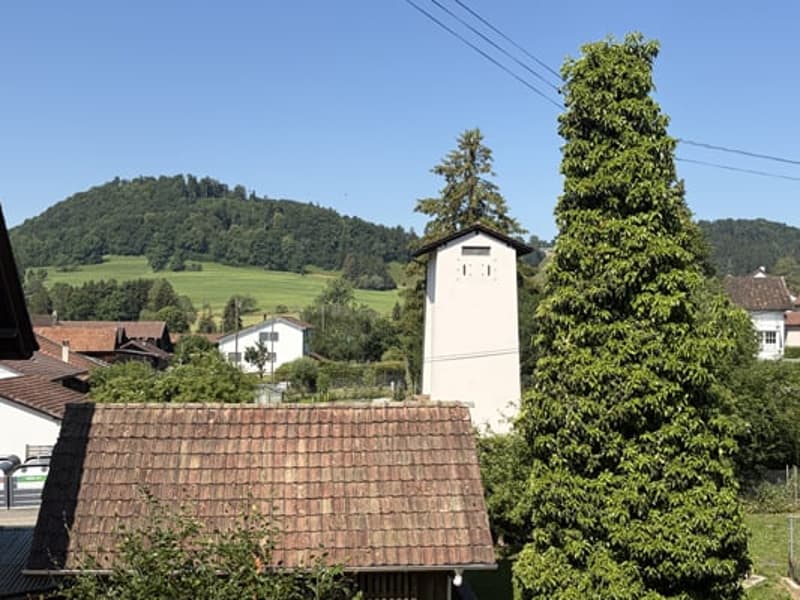 Charmante maison individuelle de 4.5 pièces à Movelier (27)