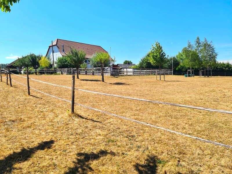Offre exceptionnelle et très rare - Magnifique ferme villageoise totalement rénovée sur 4'385 m² (5)