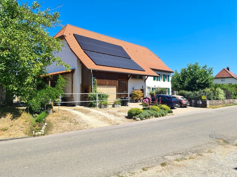 Offre exceptionnelle et très rare - Magnifique ferme villageoise totalement rénovée sur 4'385 m² (7)
