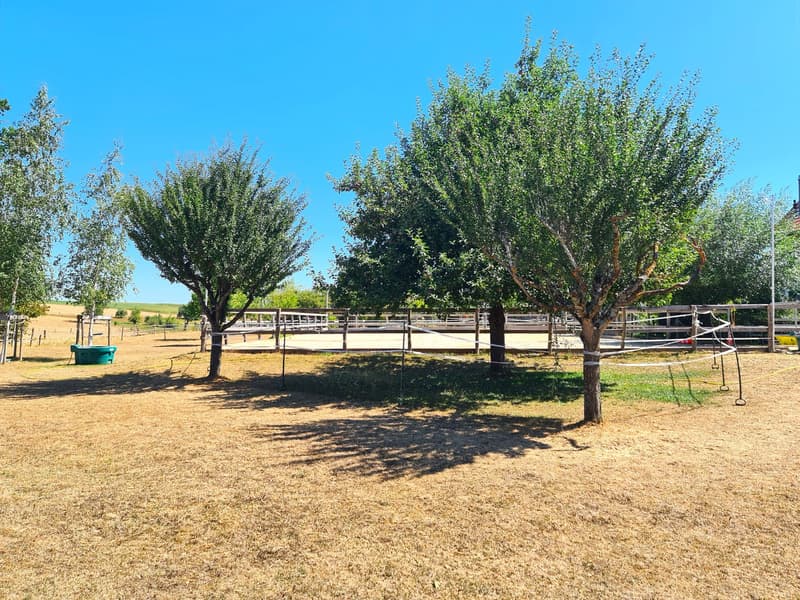 Offre exceptionnelle et très rare - Magnifique ferme villageoise totalement rénovée sur 4'385 m² (12)
