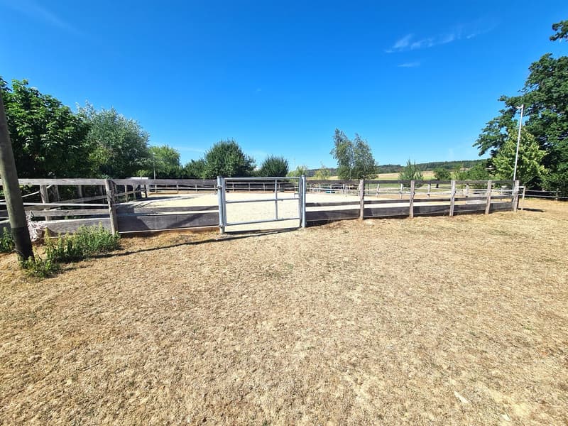 Offre exceptionnelle et très rare - Magnifique ferme villageoise totalement rénovée sur 4'385 m² (11)