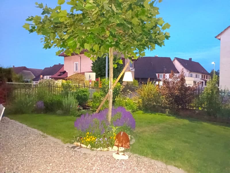 Offre exceptionnelle et très rare - Magnifique ferme villageoise totalement rénovée sur 4'385 m² (18)
