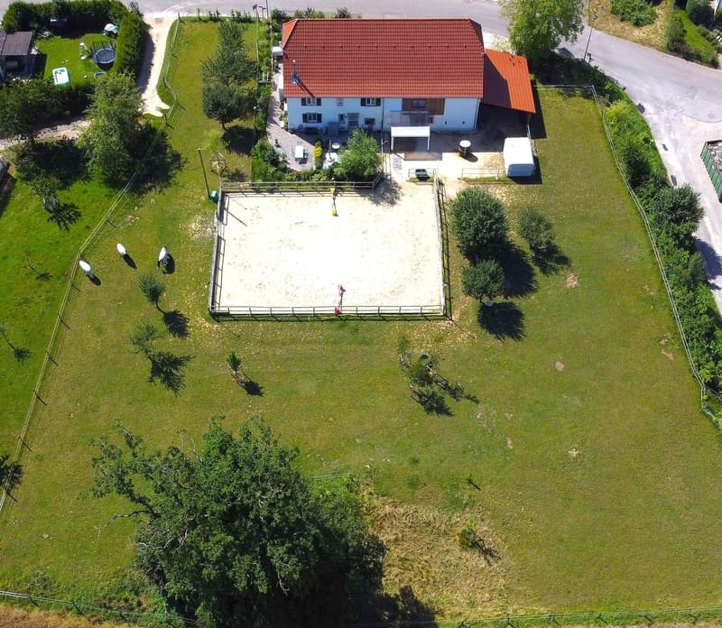 Offre exceptionnelle et très rare - Magnifique ferme villageoise totalement rénovée sur 4'385 m² (6)