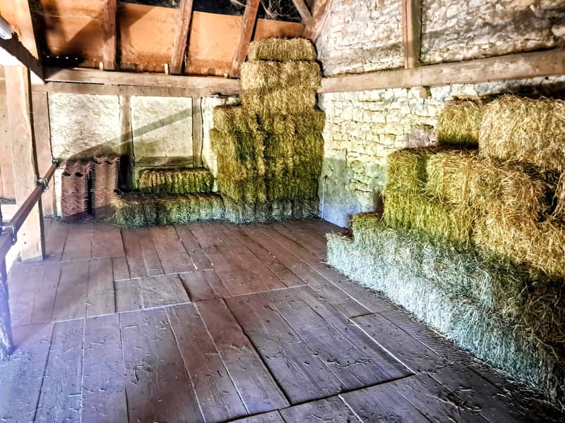 Offre exceptionnelle et très rare - Magnifique ferme villageoise totalement rénovée sur 4'385 m² (17)