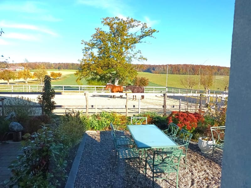 Offre exceptionnelle et très rare - Magnifique ferme villageoise totalement rénovée sur 4'385 m² (23)