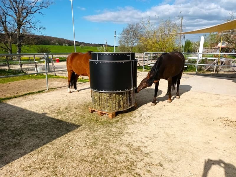 Offre exceptionnelle et très rare - Magnifique ferme villageoise totalement rénovée sur 4'385 m² (9)